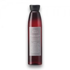 Haarwaschmittel Ingwer-Lemongrass, Detoxifying Shampoo Ginger-Lemongrass (Detox) 220ml